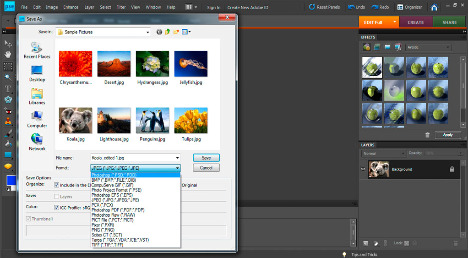 Adobe Photoshop Elements Mac Versions